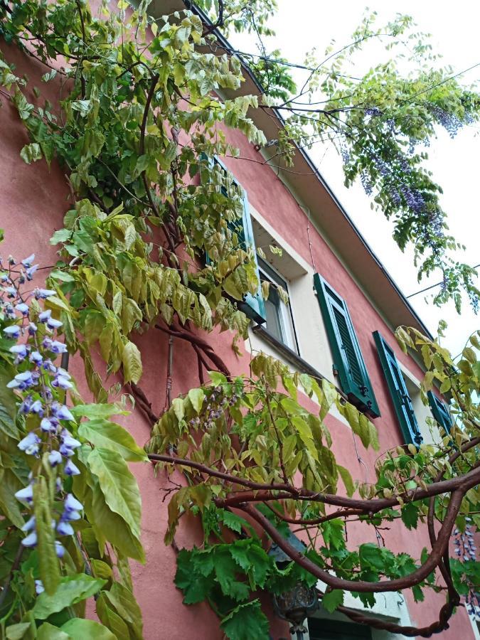 Bed and Breakfast @Gatetothewild Coreglia Ligure Zewnętrze zdjęcie