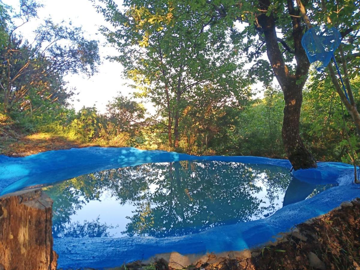 Bed and Breakfast @Gatetothewild Coreglia Ligure Zewnętrze zdjęcie