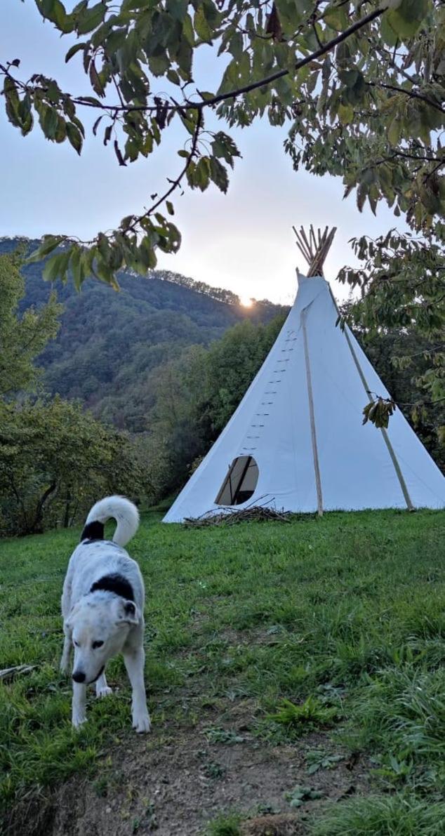 Bed and Breakfast @Gatetothewild Coreglia Ligure Zewnętrze zdjęcie